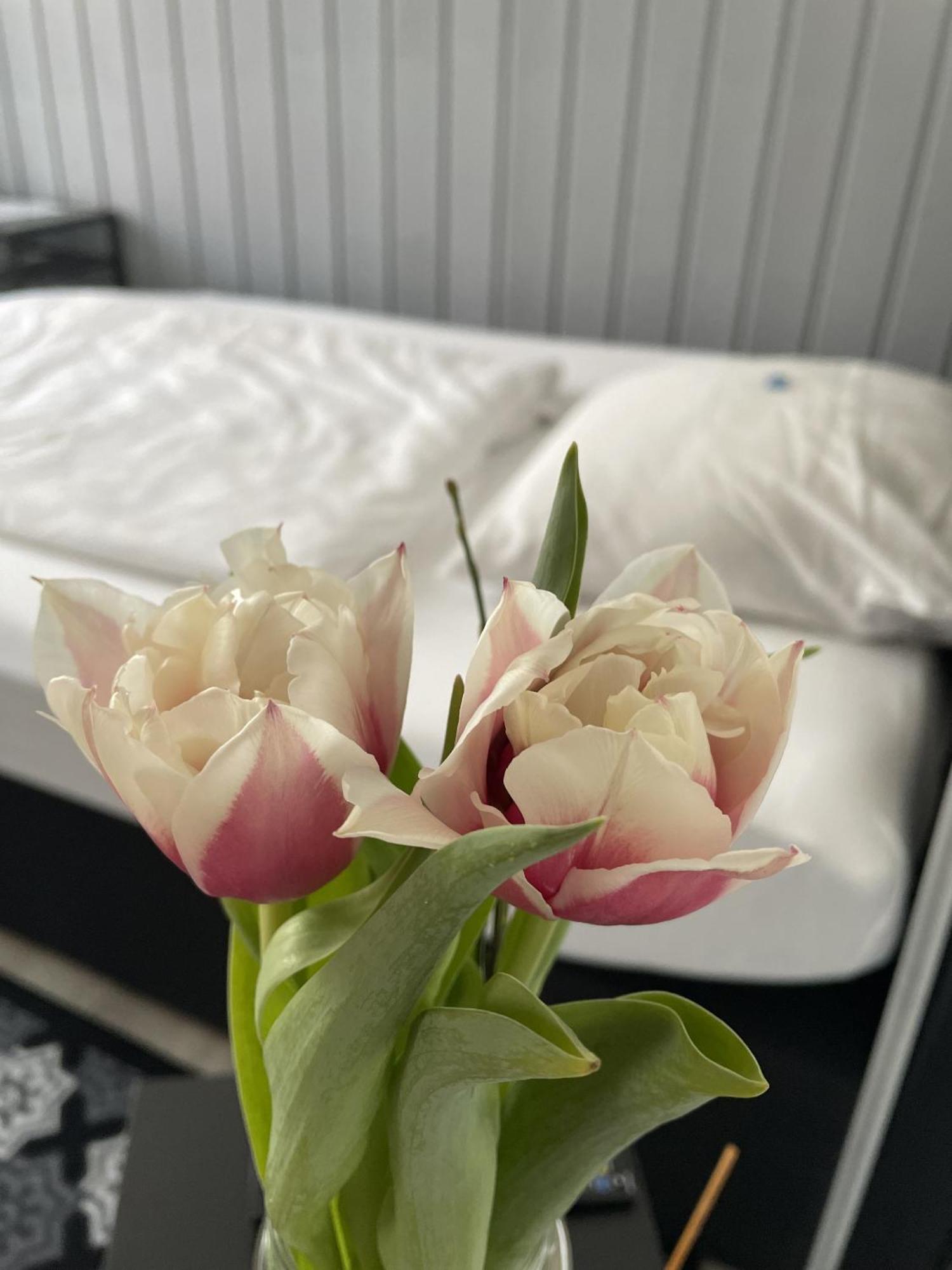 Hotel Jaegerhof Kettwig เอสเซน ห้อง รูปภาพ